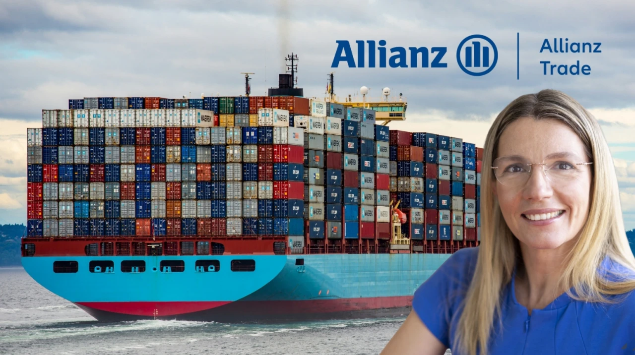 Allianz Trade: İflaslar Türkiye'de 2026'da, dünyada 2027'de azalacak