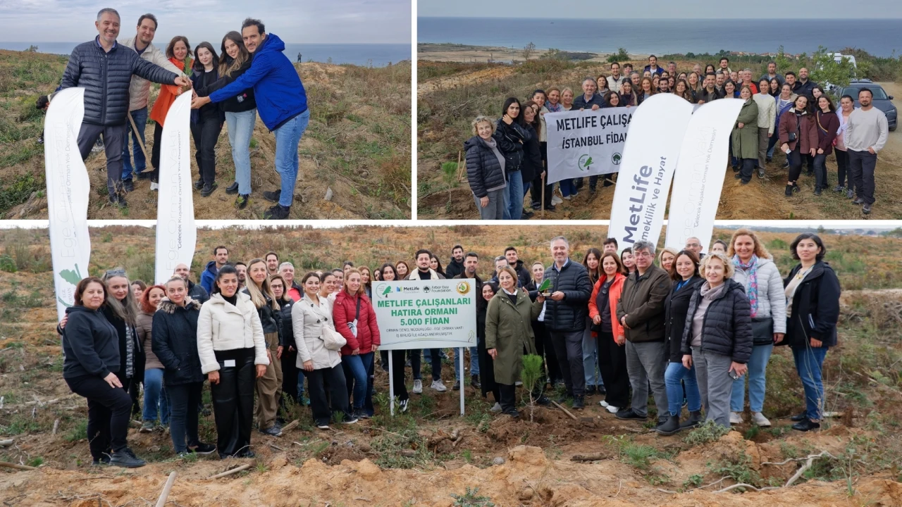 MetLife Türkiye Şile’de 5 bin fidan dikerek geleceğe nefes oldu