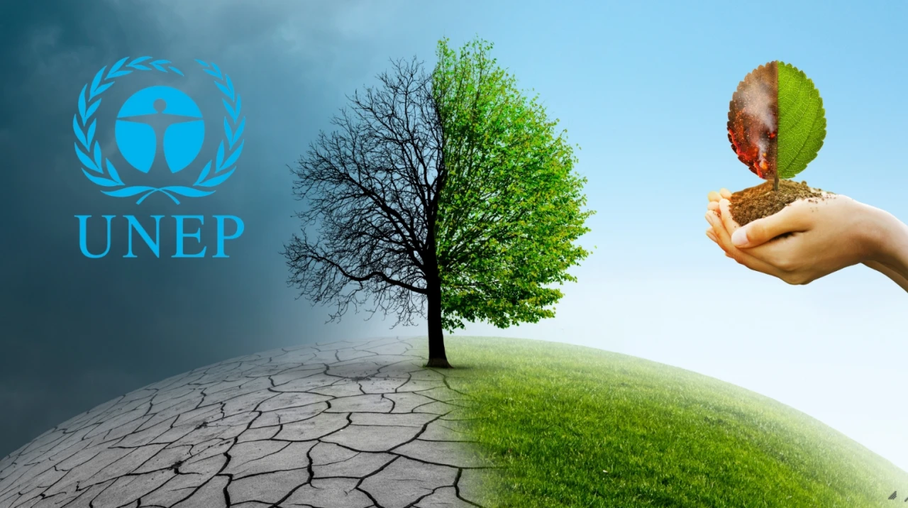 BM, iklim riskine karşı Uluslararası Sigorta Görev Gücü kurulmasını önerdi