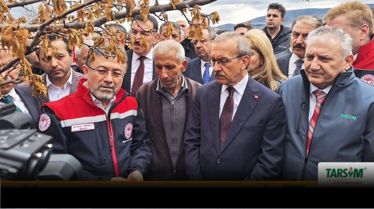 Tarım ve Orman Bakanı Yumaklı: Zirai don hasarları tarım sigortası ile karşılanacak
