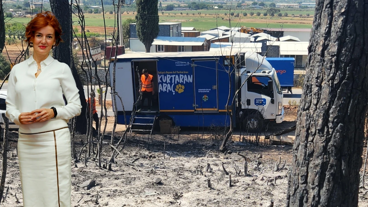 Anadolu Sigorta’dan kurtaran müdahale: Orman yangınlarında hayvanlar için seferberlik