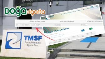 Doğa Sigorta TMSF’ye devredildi