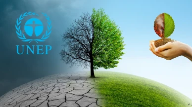 İklim riskine karşı Uluslararası Sigorta Görev Gücü geliyor