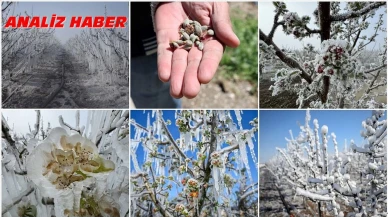 Don felaketi sonrası tarım sigortalarının önemi arttı