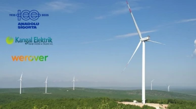 Anadolu Sigorta’dan rüzgâr enerjisinde yapay zekâ destekli iş birliği