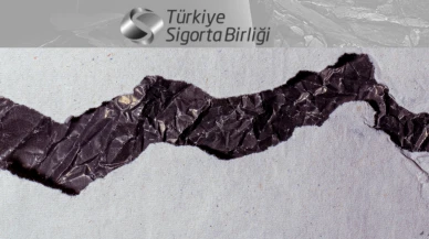 Balıkesir depremi sigortalılık gerçeğini bir kez daha gözler önüne serdi