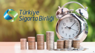 'Devlet katkısı devam ediyor, BES gücünü koruyor'