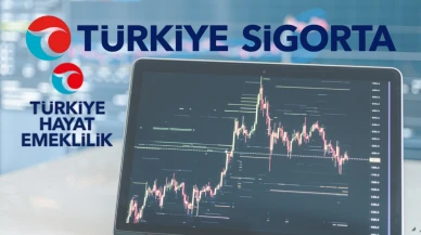 Türkiye Sigorta ve Türkiye Hayat Emeklilik'ten ilk çeyrekte rekor kâr