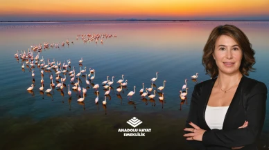 Anadolu Hayat Emeklilik 2025 Yılı Entegre Faaliyet Raporu'nu yayımladı