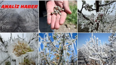 Don felaketi sonrası tarım sigortalarının önemi arttı